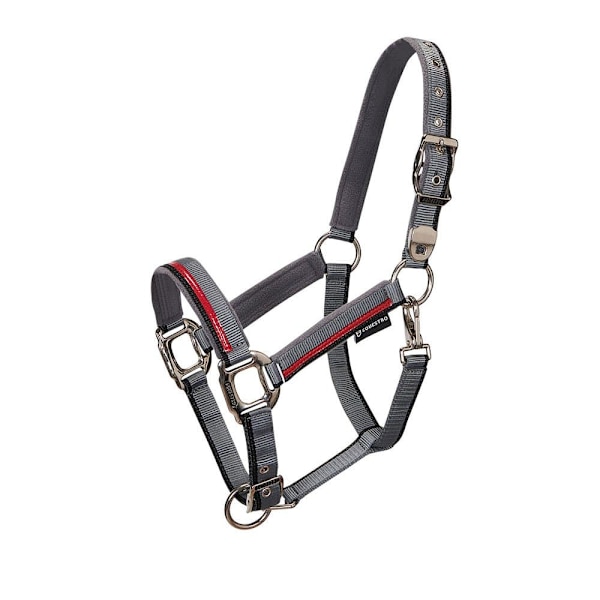 Equestro Red Trim Riimu Ja Talutin  Full