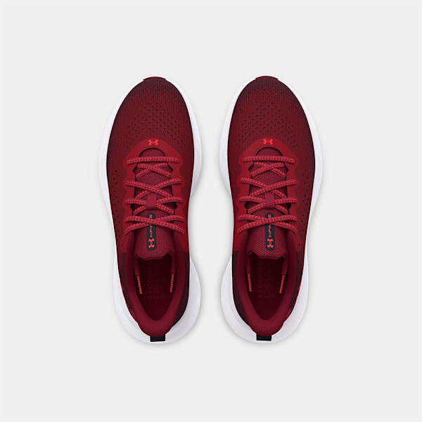 Under Armour Infinite Løbesko  EU 42 1/2 Mand