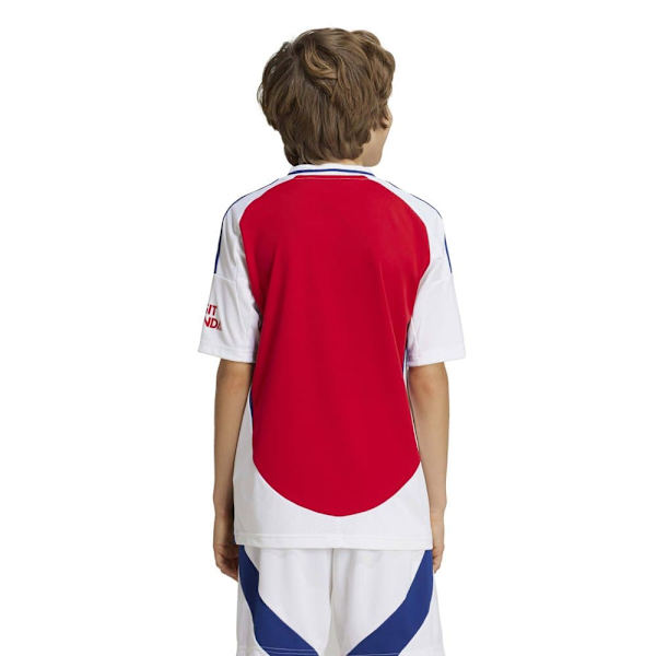 Adidas Arsenal Fc 24/25 Junior-koti Lyhythihainen T-paita  15-16 Years