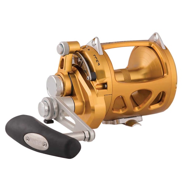 Penn Trolling Reel International Vi Sw Gylden 50