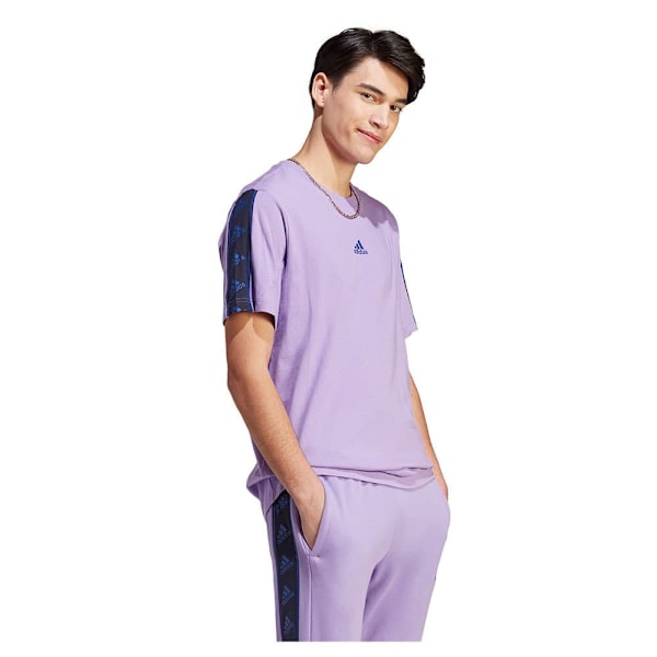 Adidas Kortärmad T-shirt Bl Lila S / Regular Man