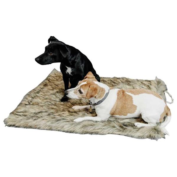 Kentucky Säng Fuzzy Blanket To Go  80 x 60 cm