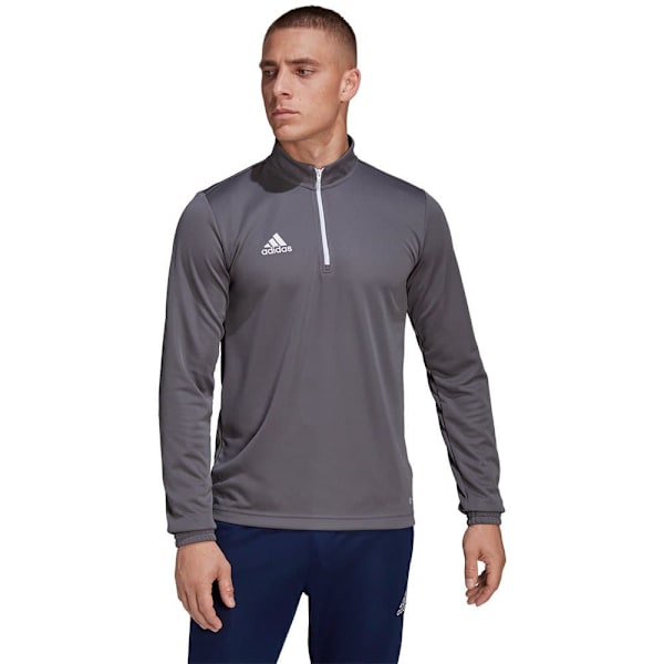 Adidas Entrada 22 Training Tröja Grå L / Regular Man