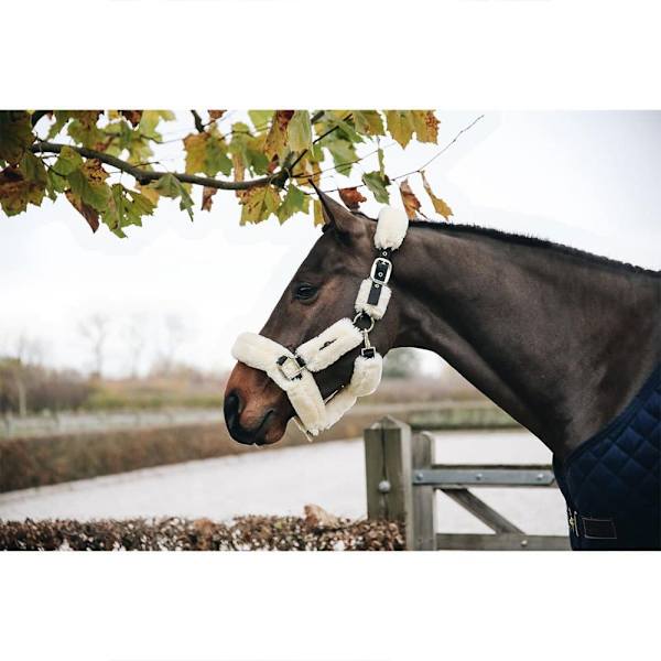 Kentucky Lampaannahkainen Shipping Riimu  Cob