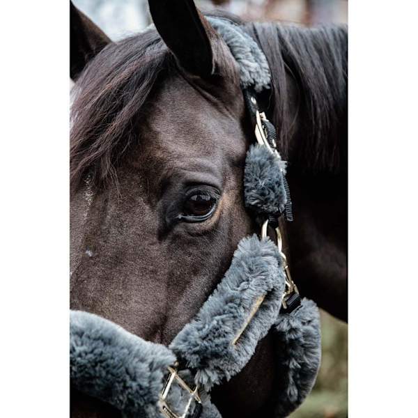 Kentucky Lampaannahkainen Shipping Riimu Harmaa Pony