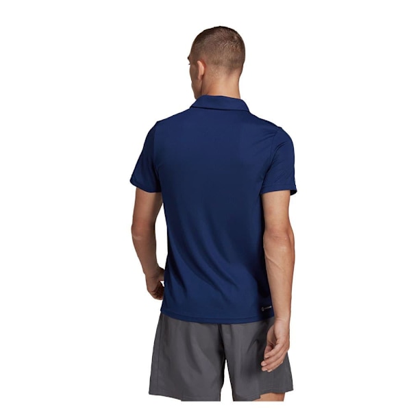 Adidas Kortärmad Piké Tr-es Base Blå S / Regular Man