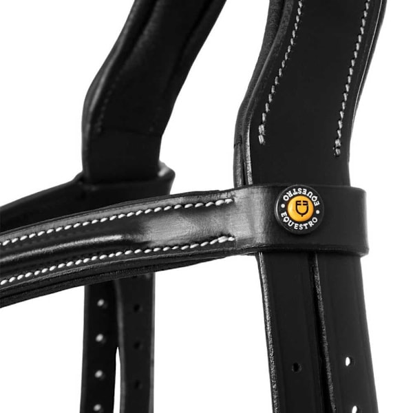 Equestro Allegoria Mexican Tygel  Cob