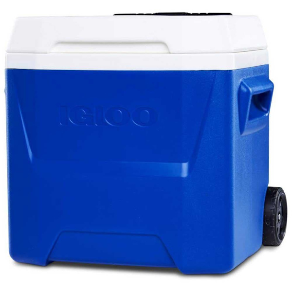 Igloo Coolers Hjul. Styv Bärbar Kylare Laguna 16 15l Durchsichtig