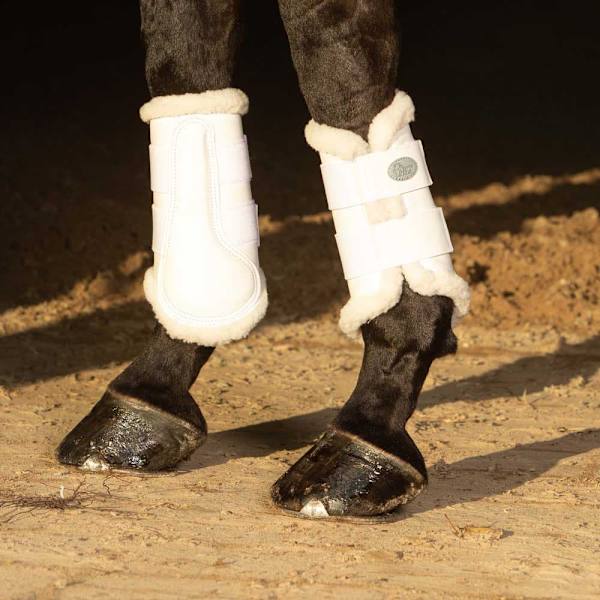Harry´s Horse Flextrainer Suojasaappaat  L