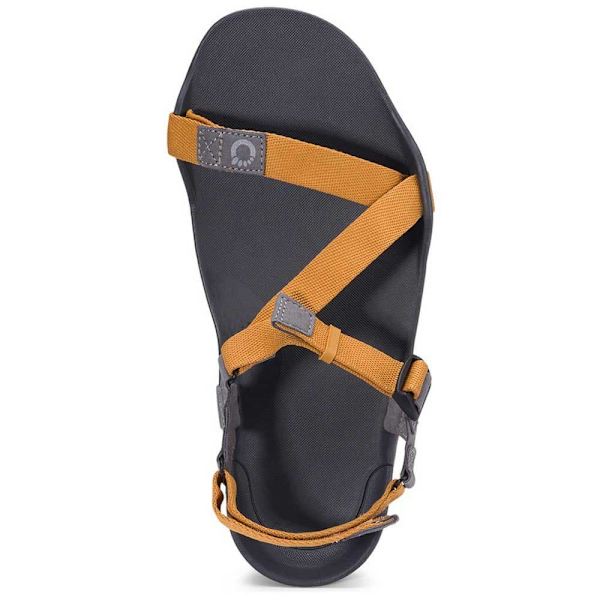 Xero Shoes Sandaler Z-trek Ii Brun EU 43 Man