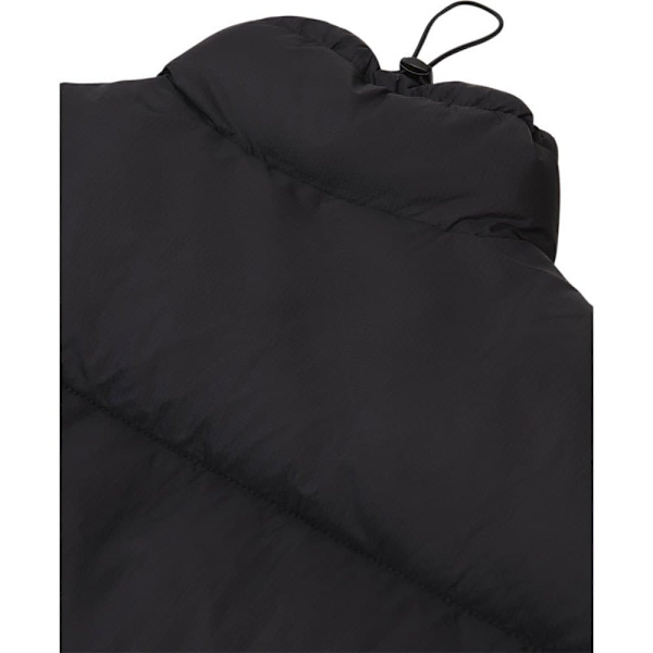 Dickies Jakke Alatna Sort XL Kvinde