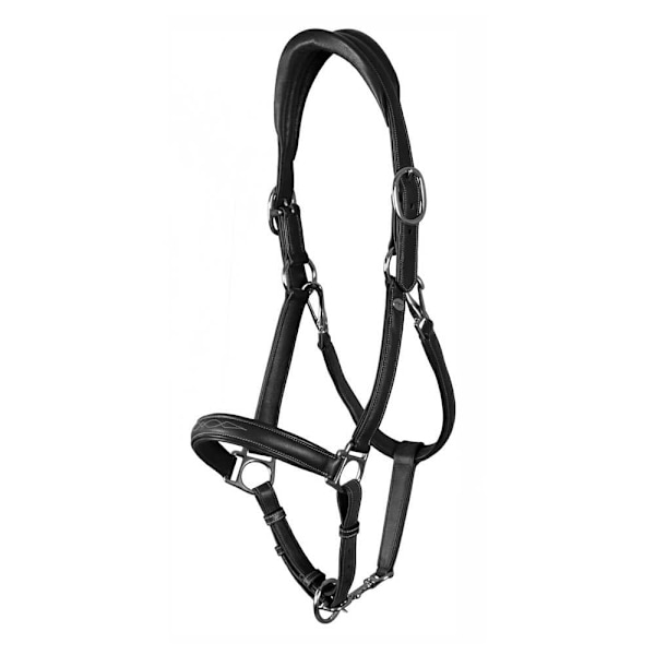 Dyon Mjuk Lädergrimma  Pony