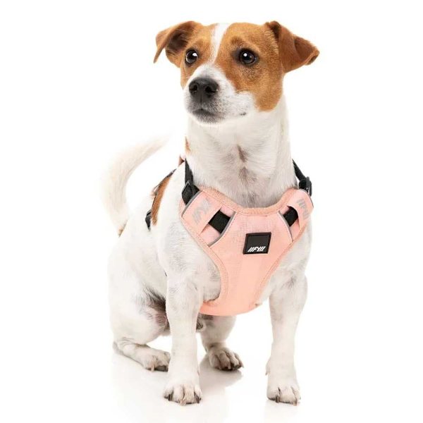 Fuzzyard Active Valjaat Go Pinkki XL