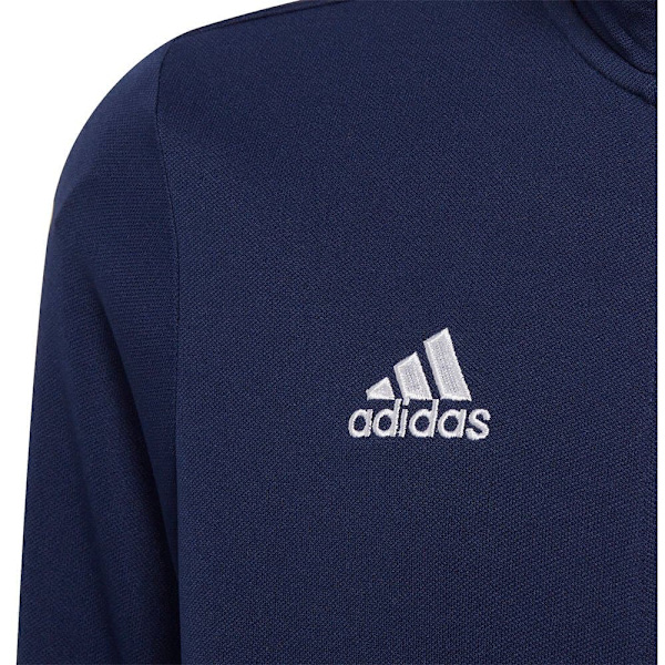 Adidas Jacka Entrada 22 Blå 5-6 Years