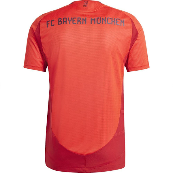 Adidas Fc Bayern Authentic 24/25 Lyhythihainen Kotipaita  M