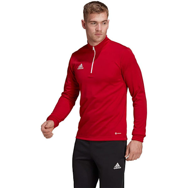 Adidas Huppari Entrada 22 Training Punainen 2XL / Regular Mies