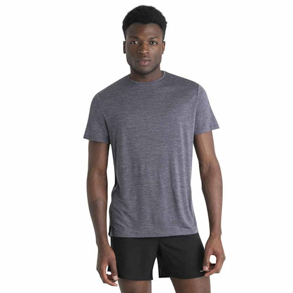 Icebreaker Merino 125 Cool-lite Sphere Iii T-shirt Med Korte ærmer Grå S Mand