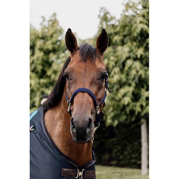 Kentucky Punottu Riimu Nylon  Full