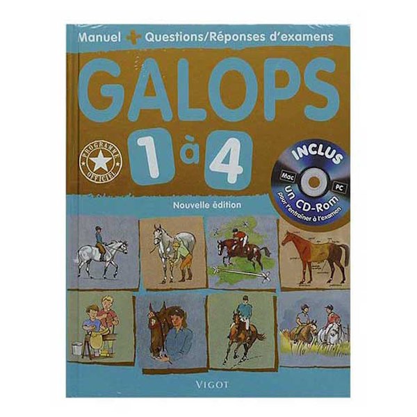 Vigot Framgångsrik Galopp Bok 3&4 Flerfärgad