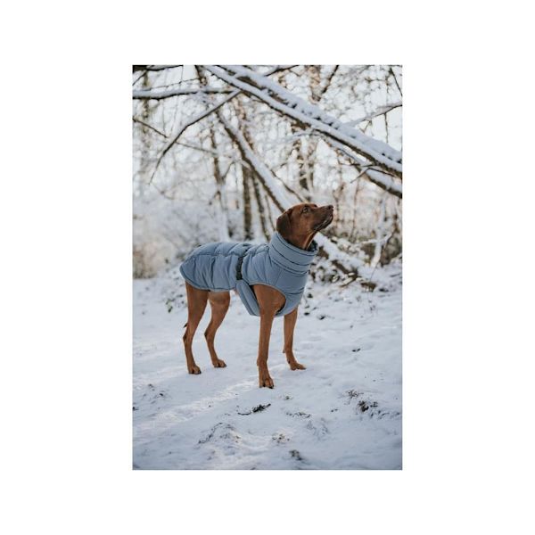 Hunter Paxson 203522 Hundejakke 40 Cm