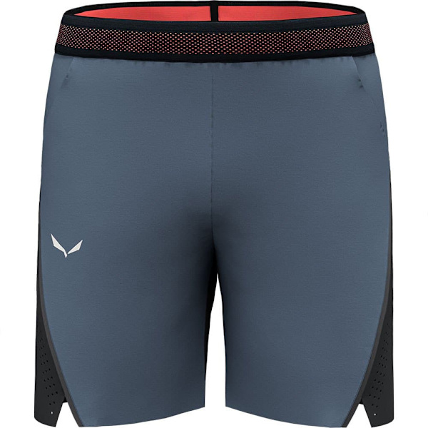 Salewa Pedroc 2 Dst Shorts Grå XL Mand
