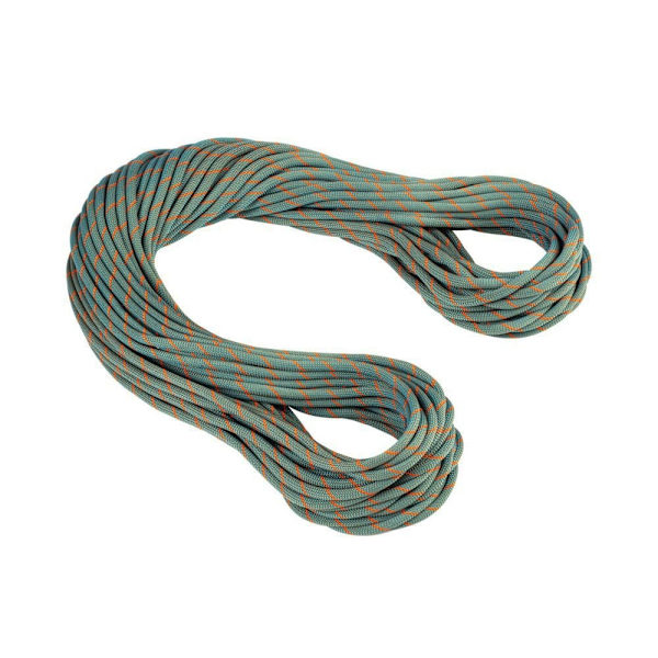 Mammut Rep Crag Workhorse Dry 9.9 Mm Grönt 70 m