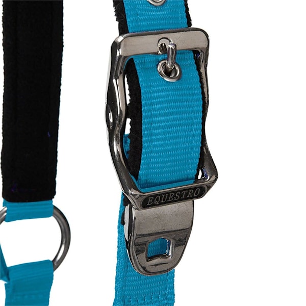 Equestro Shiny Fittings Riimu Ja Talutin Sininen Cob
