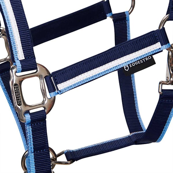 Equestro White Trim Riimu Ja Talutin  Coby