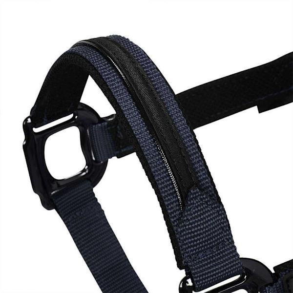 Equestro Elegance Riimu Ja Talutin  Coby