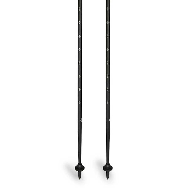 Black Diamond Stænger Explorer 2 Sort 90-130 cm