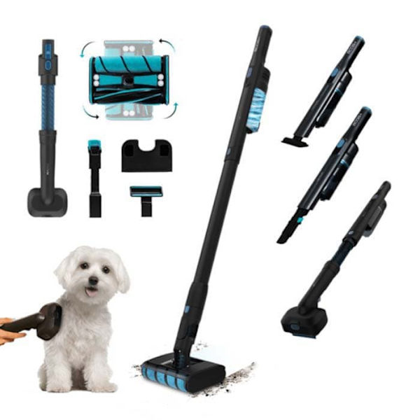 Cecotec Børste Støvsuger Scoba 2100 Twice Animal Sort