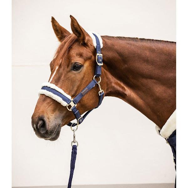 Waldhausen Riimu Exclusive  Cob
