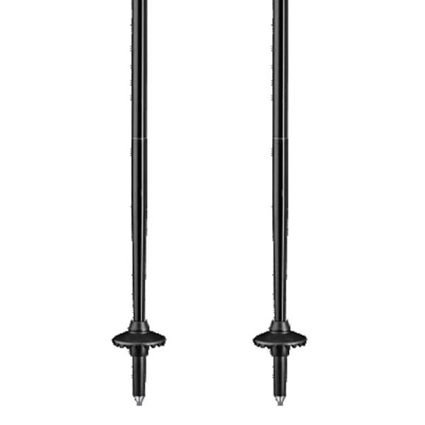 Leki Polacker Legacy Fx Ta Silver 110-130 cm