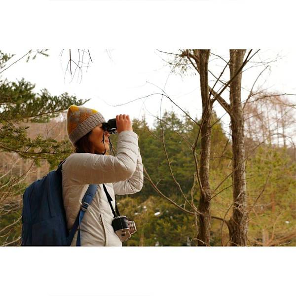 Pentax Kikare Jupiter 8x40 Guld