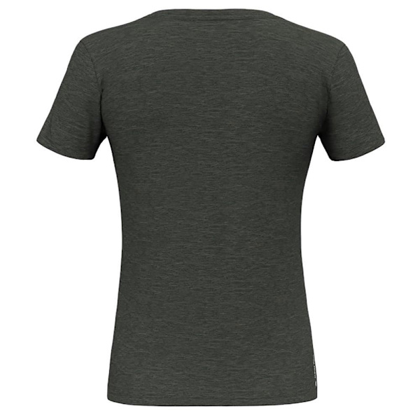 Salewa Eagle Eitd Am T-shirt Grøn XL Kvinde