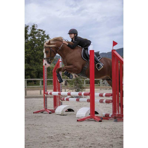 Equitheme Jacka Classic Softshell Svart 50
