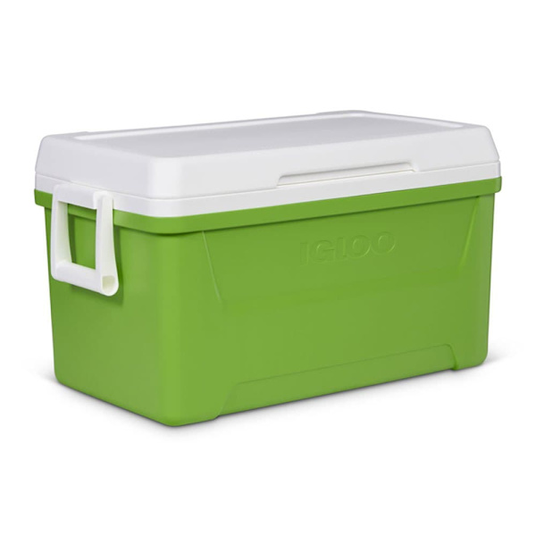 Igloo Coolers Laguna 48 46l Styv Bärbar Kylbox Guld