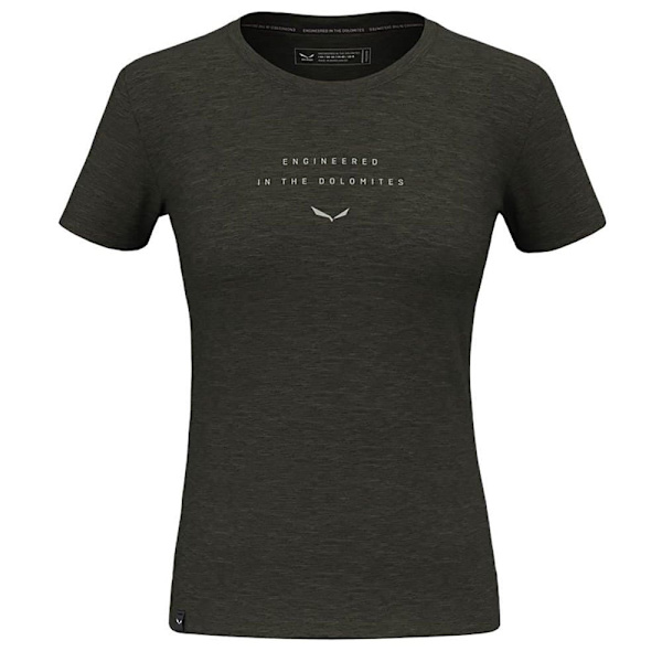 Salewa Eagle Eitd Am T-shirt Grøn XL Kvinde
