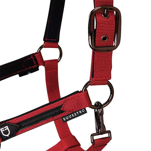 Equestro Elegance Riimu Ja Talutin  Coby
