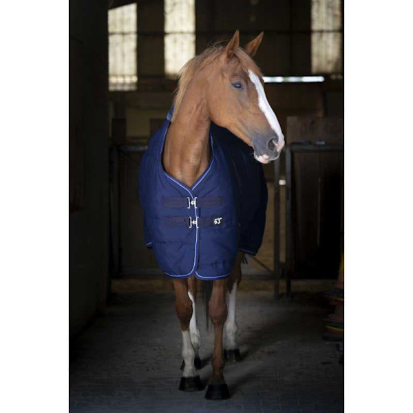 Equitheme Pro Series 1000 D Polyfil 150g Vakaa Matto Sininen 175-125 cm