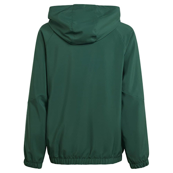 Adidas Jacka Tiro24 Windbreaker Grönt 13-14 Years Pojke