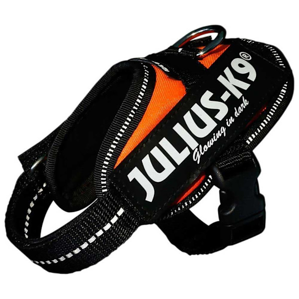 Julius K-9 Valjaat Idc® Power Oranssi L-1