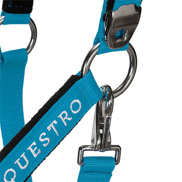 Equestro Shiny Fittings Riimu Ja Talutin Sininen Cob