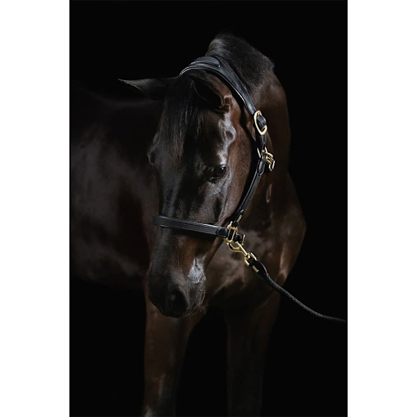 Mrs.ros Nahkainen Riimu Deluxe  Cob