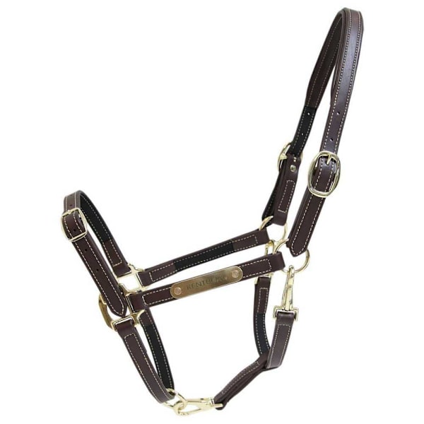 Kentucky Läder Grimma Flexible  Full