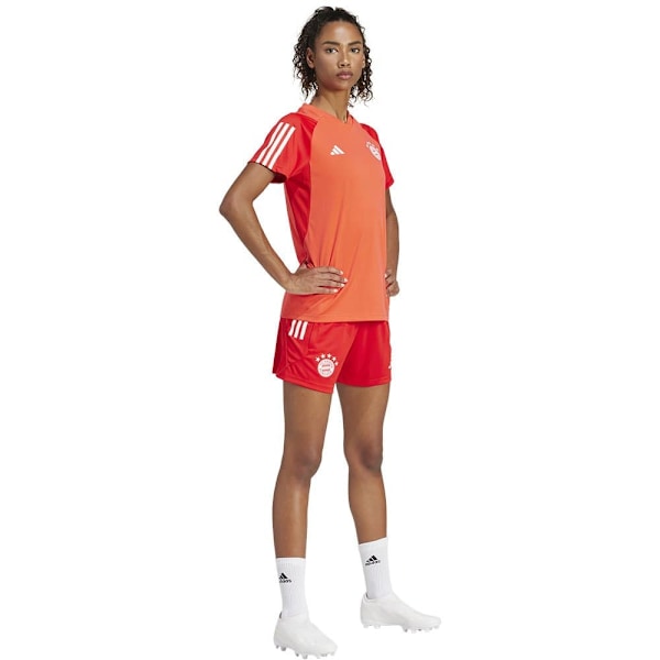 Adidas Lyhythihainen T-paita Koulutus Bayern Munich 23/24 Oranssi XL