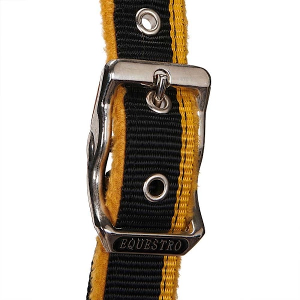 Equestro Red Trim Riimu Ja Talutin  Coby