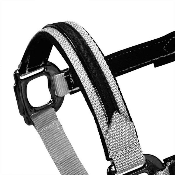 Equestro Elegance Riimu Ja Talutin  Coby