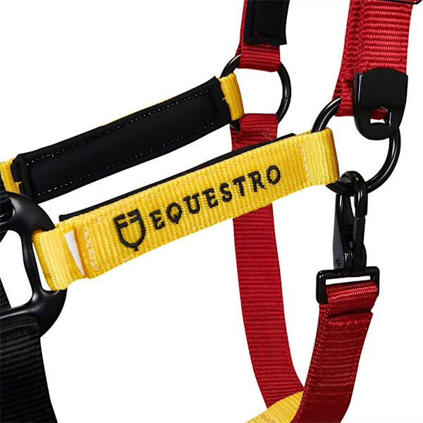 Equestro Riimu Ja Lyijy Ca00512  Cob