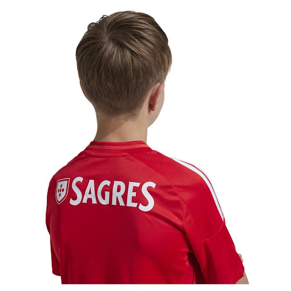 Adidas Benfica Lisboa 24/25 Lyhythihainen T-paita Kotiin  13-14 Years